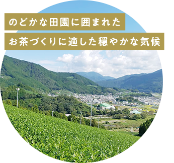 のどかな田園に囲まれたお茶づくりに適した穏やかな気候